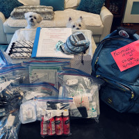 Joanne-T1D-Go-Bag-contents